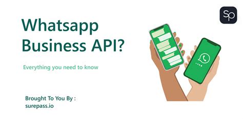 Whatsapp Business Api Everything You Need To Know Surepass