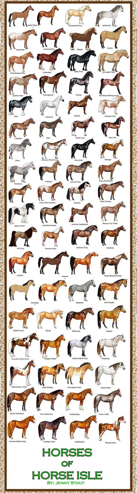 17 Best Images About Horse Breed Chart On Pinterest Horse Racing