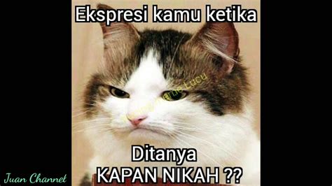 We did not find results for: MeMe Kucing Lucu abis - YouTube