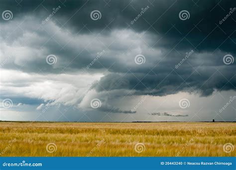 Storm Dark Clouds Over Field Stock Photo Image 20443240