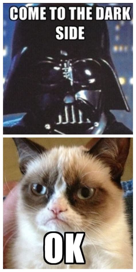 Grumpy Cat Funny Cat Memes For Kids Cat Mania