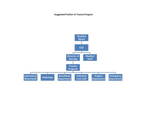 Organizational Chart Simple 7 Types Of Organizational Chart Templates