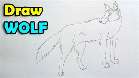 Grab your pencil and let's get started! How to draw a wolf step by step easy for kids - YouTube