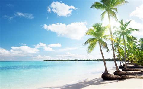 Tropical Sand Beach Palms Hd Desktop Wallpaper Widescreen High Definition Fullscreen