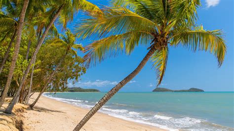 Visit Clifton Beach Best Of Clifton Beach Cairns Travel 2023