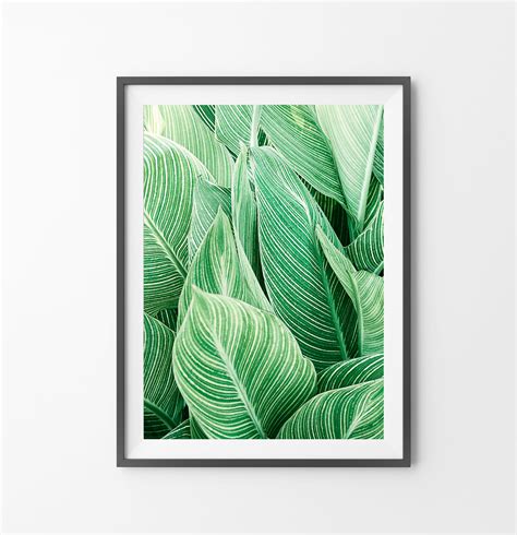 Tropical Plant Wall Art Leaf Print Printable Digital Download Large