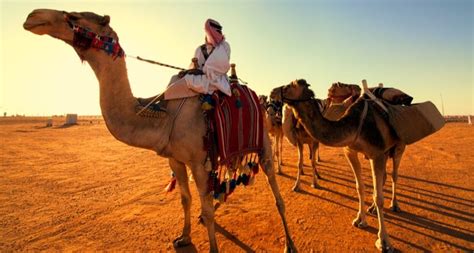The Al Nafud Desert In Saudi Arabia And Its Top Tourist Attractions