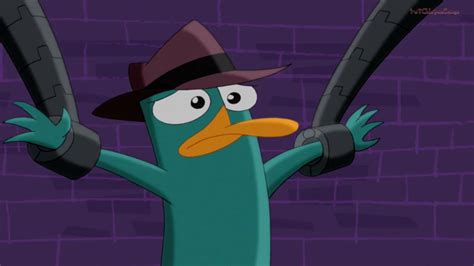 Image Frightened Perry Phineas And Ferb Wiki Fandom Powered