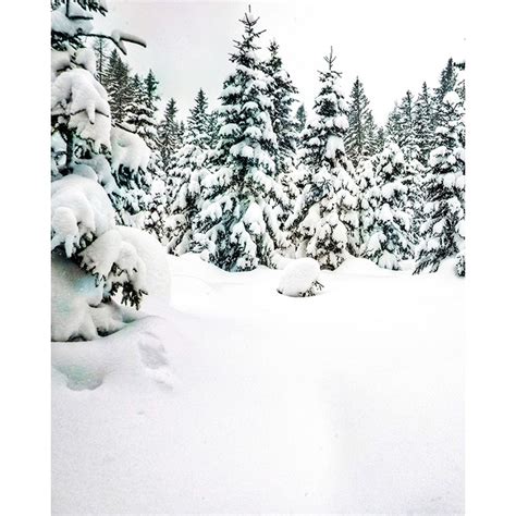 Winter Wonderland Scenic Printed Backdrop Backdrop Express