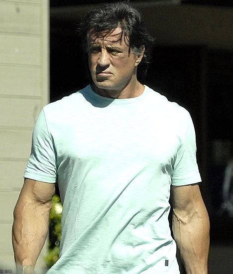 By kayla caldwell for dailymail.com. Sly Stallone fined for importing muscle-building hormones ...