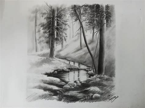 Pencil Sketch Scenery Nature Art Drawings Scenery Drawing Forest