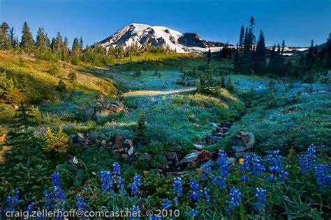 Enjoy A Day Trip From Seattle Southside To Mount Rainier National Park