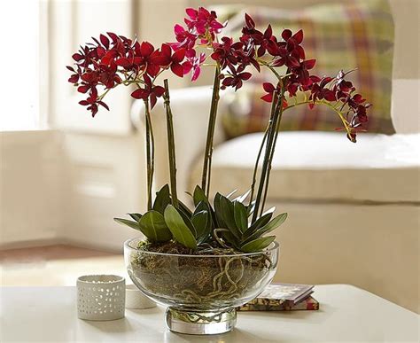 Artificial Orchid Arrangement Ideas On Foter