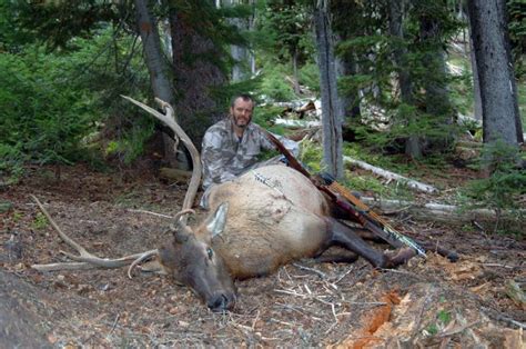 Finally Traditional Elk Kill Ifish Fishing Forum