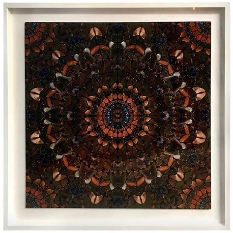 Damien Hirst Butterfly Kaleidoscope Wallpaper Unframed For Sale At