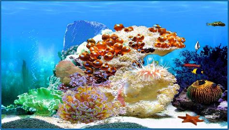 Your desktop with free animated screensavers! Animated 3d aquarium screensaver - Download free