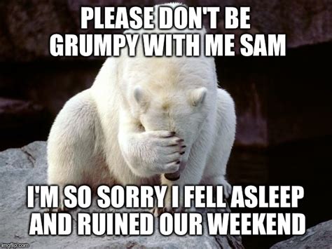 Sad Polar Bear Imgflip