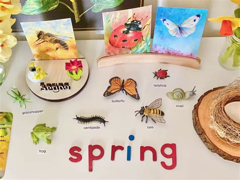 Creating A Spring Nature Table Celebrating Seasons How We Montessori