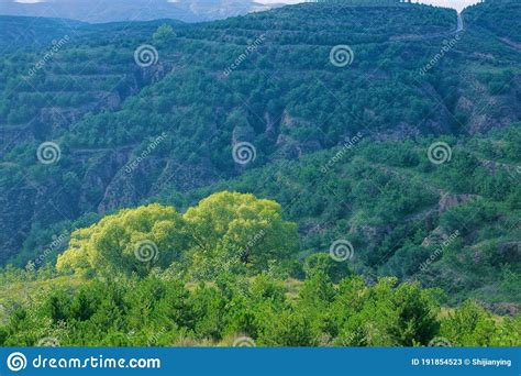 Summer Loess Plateau Scenery Royalty Free Stock Photography