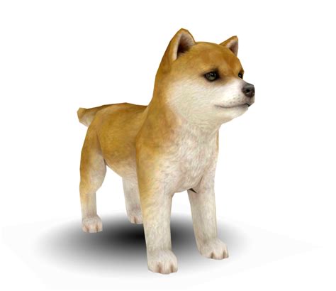 Are Shiba Inus Good With Cats