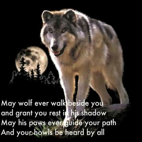 Pin By Anah On Wolves Native American Wolf Quotes Native American