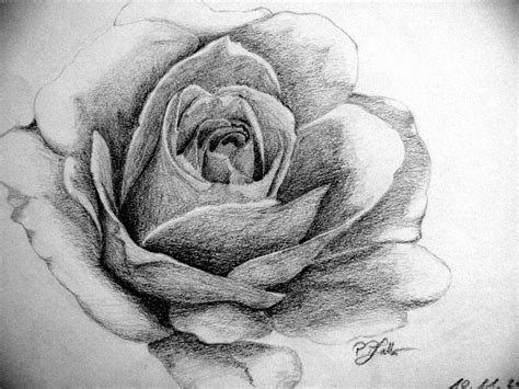 Black White Rose By Keema87 On Deviantart