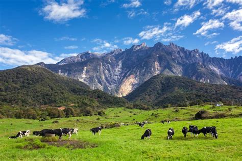 Spend the day exploring the area and seeing some of the local attractions. Trip To Kundasang Sabah: 12 Instagrammable Places To Visit ...