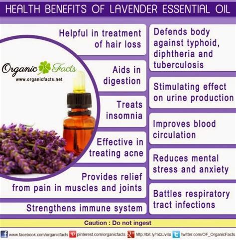 Moroccan argan oil moisturizes, nourishes, and provides antioxidants to hair. God's Grace Overflows: DIY Lavender Salve...