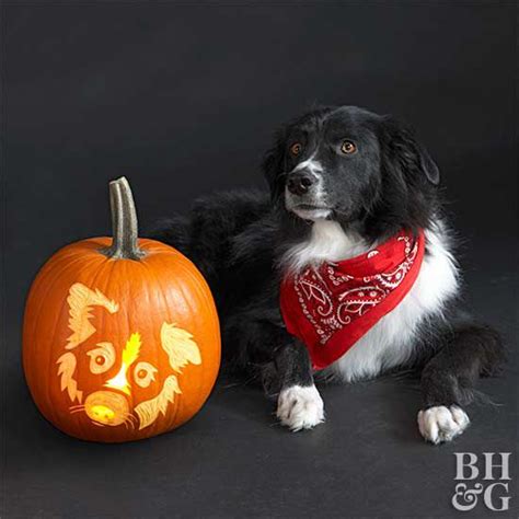 23 Free Fun And Easy Dog Pumpkin Carving Stencils