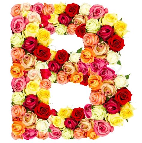 R Roses Flower Alphabet Isolated On Stock Image Colourbox