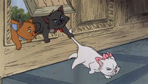 Aren't marie, berlioz, and toulouse the cutest kittens ever? 12 Disney Cats So Cute They'll Make You a Cat Person l Oh ...