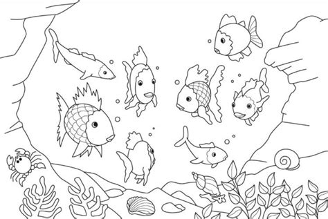 Sketsa Gambar Hewan Di Laut