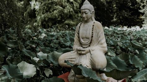 What Can Buddhism And Minimalism Teach Us Nowwithpurpose
