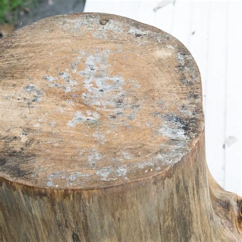 Make A Tree Stump Side Table Simply Designing With Ashley