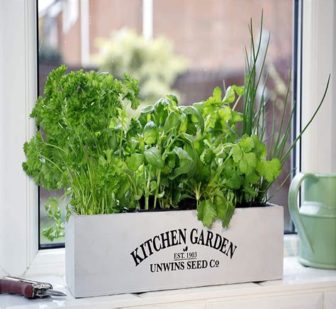 Windowsill Herb Box Garden Herbs Seed Soil Kit Seeds Window Planter