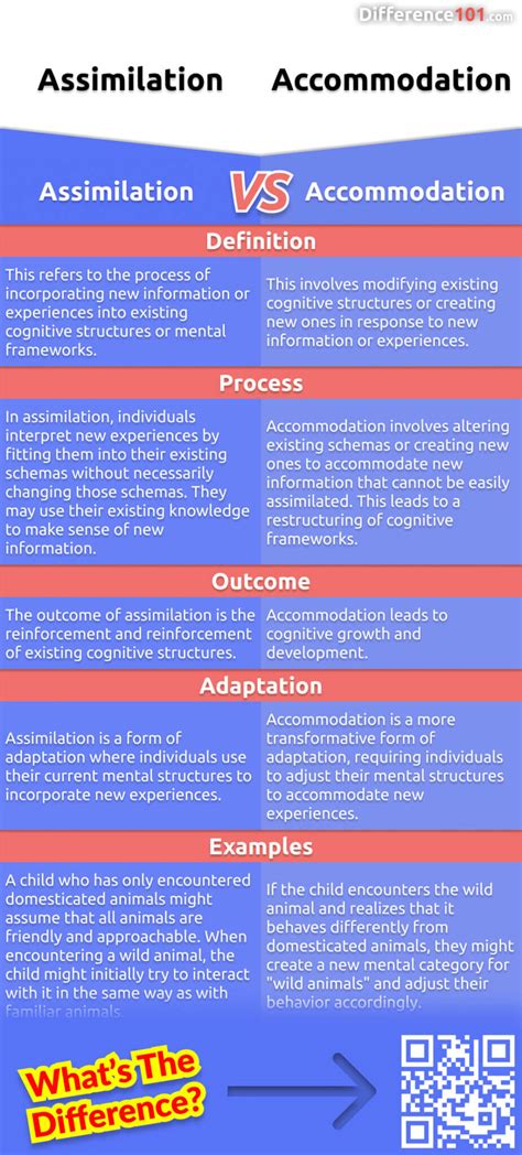 Assimilation Vs Accommodation Key Differences Pros Cons
