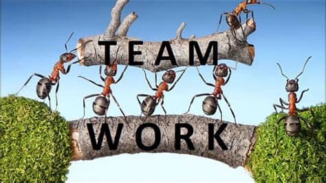 English motivational video whatsapp status, motivation english whatsapp status of life shared by success ingredients. #Teamwork | #Motivational Message | #whatsapp status video ...