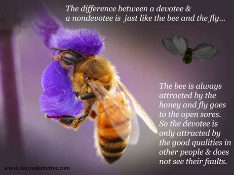 Https://techalive.net/quote/bees And Fly Quote