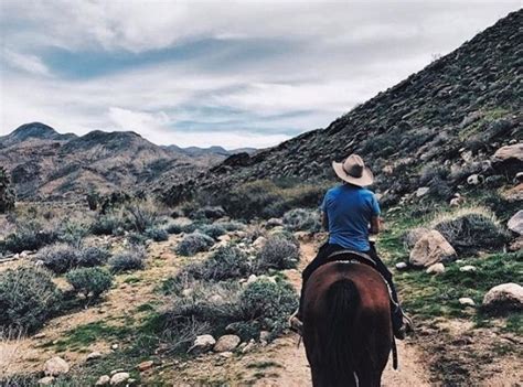 You can feed giraffes, ride camels, pet goats. Horseback Riding in Palm Springs | Smoke tree, Horseback ...
