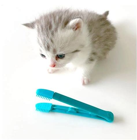2x Kitten Eye Rub Handheld Cat Eye Wipe Rub Eyes Poo Brush Cleaning