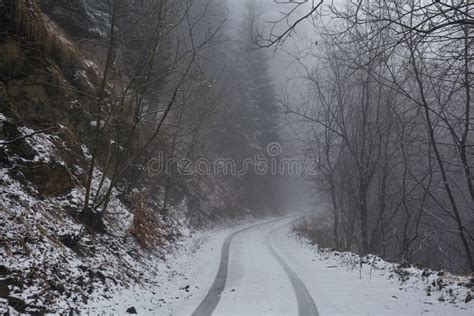 Foggy Road In The Forest Stock Image Image Of Hazy Cold 67909743
