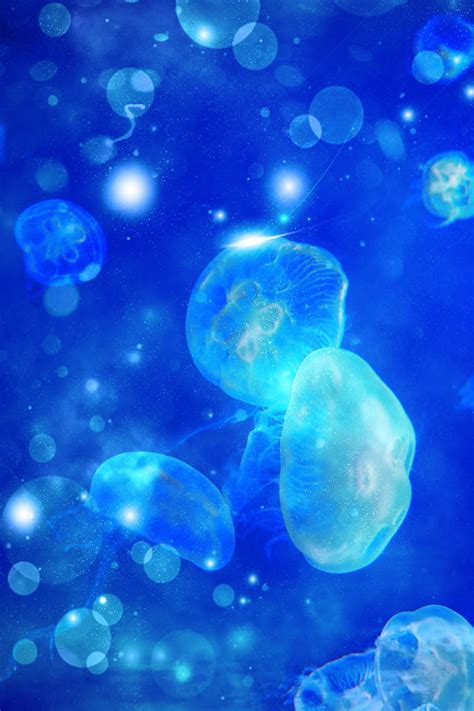 Jellyfish Dream Glare Blue Background Aperture Light Effect Dream