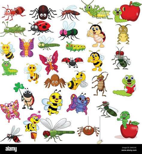 Conjunto De Colección De Insectos De Dibujos Animados Imagen Vector De