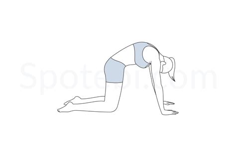 The cat cow pose is often considered a neutral position in yoga but lately i have been offering my students an opportunity to really play with opposition integrate with the breath and you have yourself quite the little yoga pose. Cat Pose | Marjaryasana