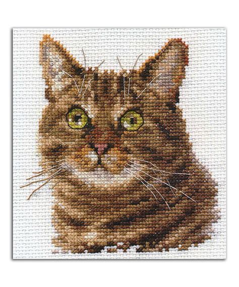 Tabby Cat Eyes Cross Stitch Kit In 2021 Cat Cross Stitches Cat Cross