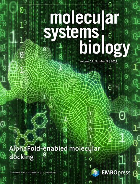 The Molecular Architecture Of Cell Cycle Arrest Molecular Systems Biology