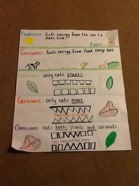 Pin By Lauren Cross On Science Science Anchor Charts