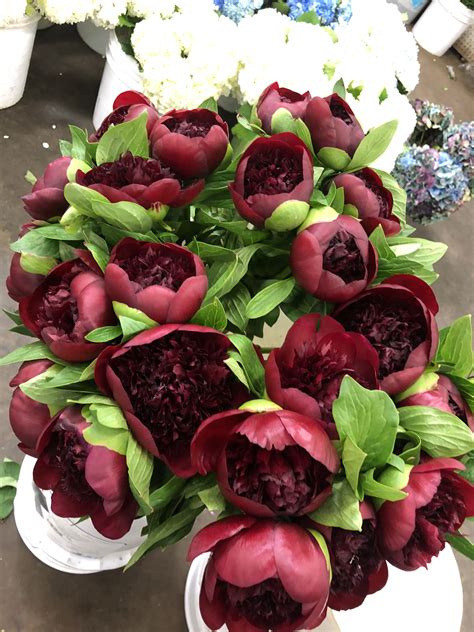 Pin by Ramirez Wholesale Flowers, Inc on Wedding Flowers! | Wedding flowers, 10 things, Flowers