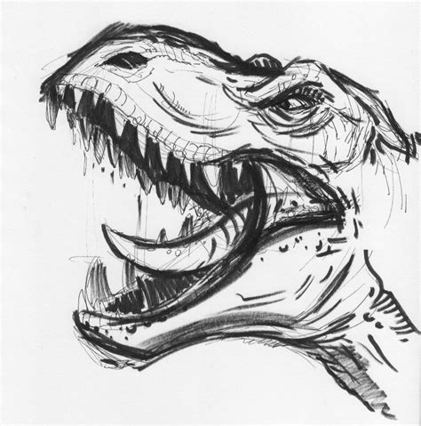 10 Exquisite Learn To Draw Animals Ideas Dinosaur Sketch Dinosaur