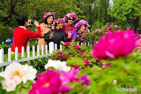 28th Heze International Peony Culture And Tourism Festival Held In China S Shandong All China